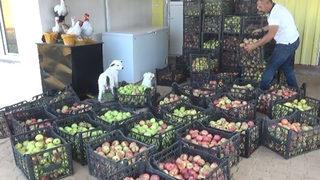 İş adamı, fırsatçılara tepki gösterip ürünlerini ücretsiz dağıttı