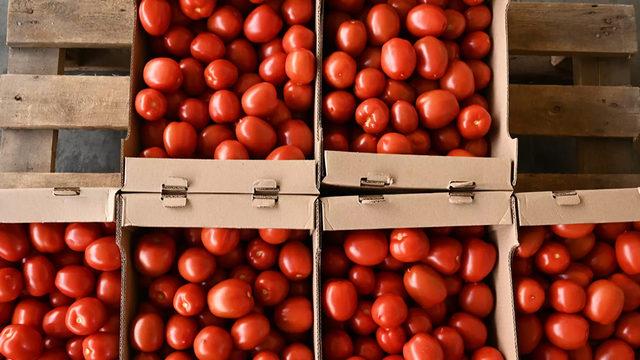 Rusya, Antalya ve İzmir'den domates ile biber ithalatına yeniden izin verdi