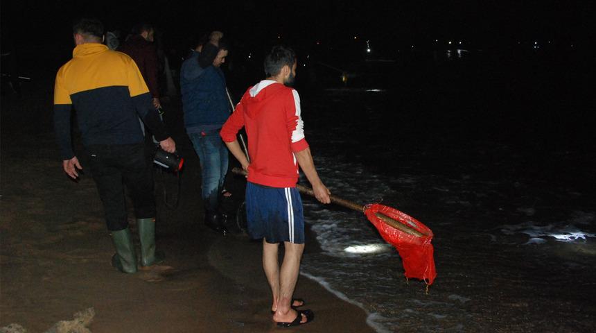 Sahilde istavrit bolluğu sona erdi! Bu sefer umduklarını bulamadılar