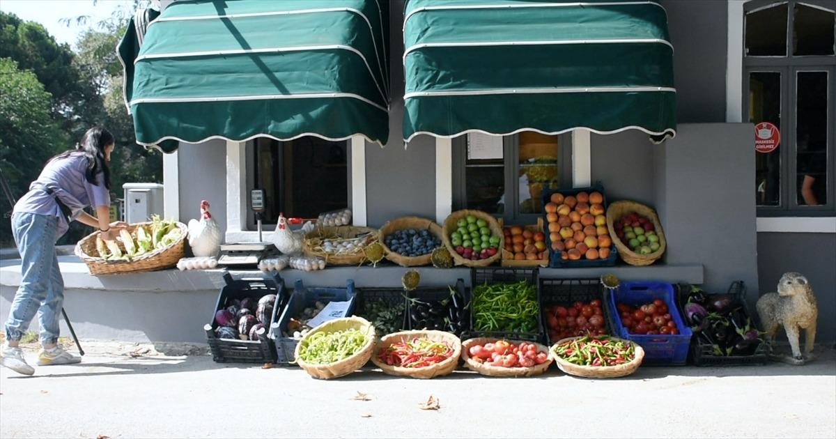 Tarım lisesinde doğal y&ouml;ntemlerle 30 &ccedil;eşit sebze ve meyve &uuml;retiyorlar