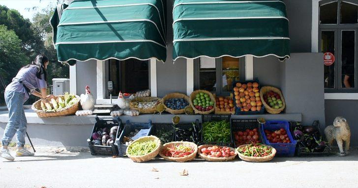 Tarım lisesinde doğal yöntemlerle 30 çeşit sebze ve meyve üretiyorlar G1