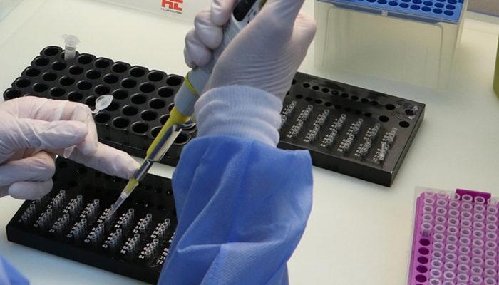 Sahte PCR testi skandalı: 300 TL'ye negatif garantili
