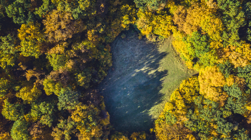 Dünyanın en gizemli yeri! Transilvanya’nın ‘Bermuda Üçgeni’ olarak bilinen esrarengiz ormanı: Hoia Baciu 