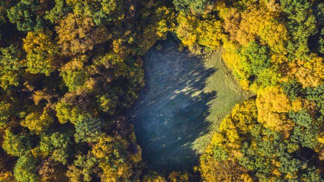 Dünyanın en gizemli yeri! Transilvanya’nın ‘Bermuda Üçgeni’ olarak bilinen esrarengiz ormanı: Hoia Baciu 