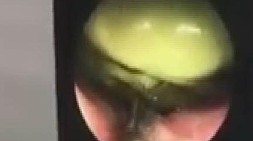 Hiçbir yerde bulamayınca şüphelendiler! İkisi de midesinden çıktı