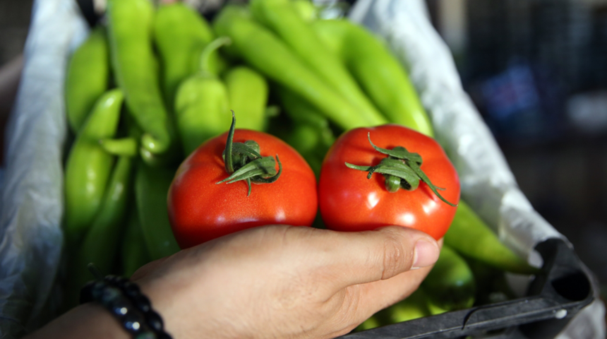 Türkiye’de yetişen domates ve biber 45 ülkeye ulaştırılıyor