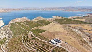 10 yıl önce 37 bin badem ağacı dikti! 45 kişiyi istihdam etti