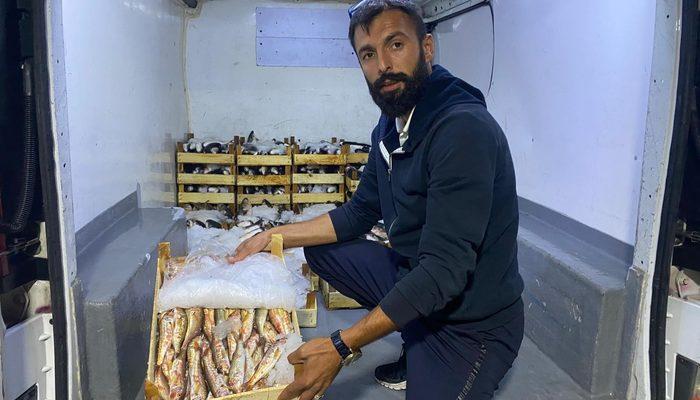 Balıkçılar 60 kasa yakaladı! Mezat usulü satılıyor, kilosu 150 lira