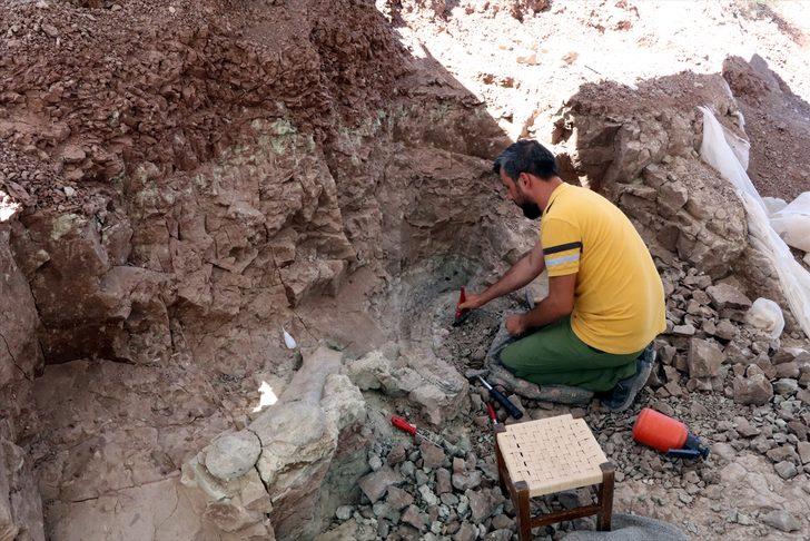 Çankırı'da fillerin atalarına ait 9 milyon yıllık uyluk kemiği ve diş bulundu G4