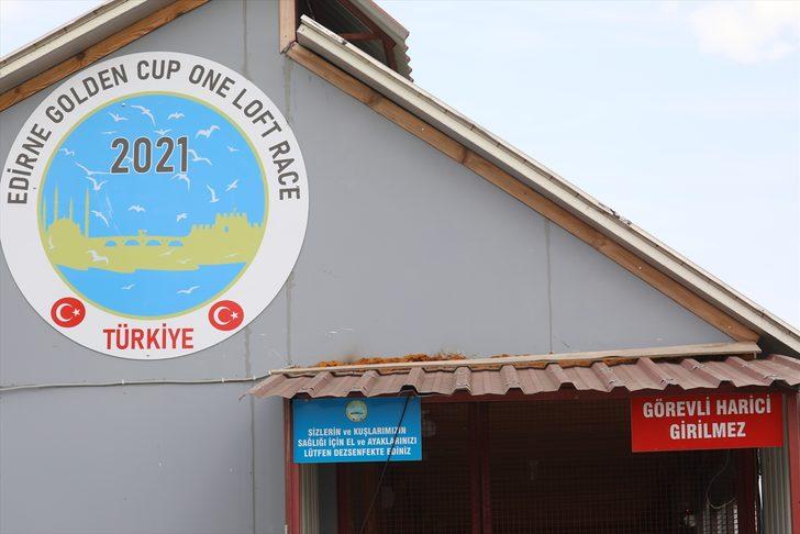 Posta güvercinlerine "Güvercin Oteli"nde 5 yıldızlı bakım G1