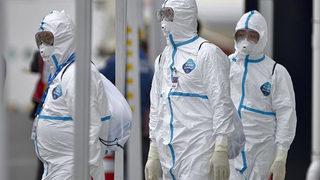 Fransa'da kuş gribi alarmı! Kâbus yeniden hortladı