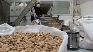 Tarlada 28, tezgahta 120 lira!