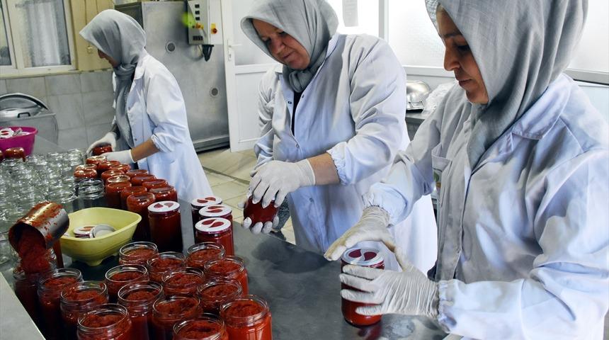 32 kadın çiftçi bir araya gelerek kooperatif kurdu! 30'dan fazla ürün üretiyorlar