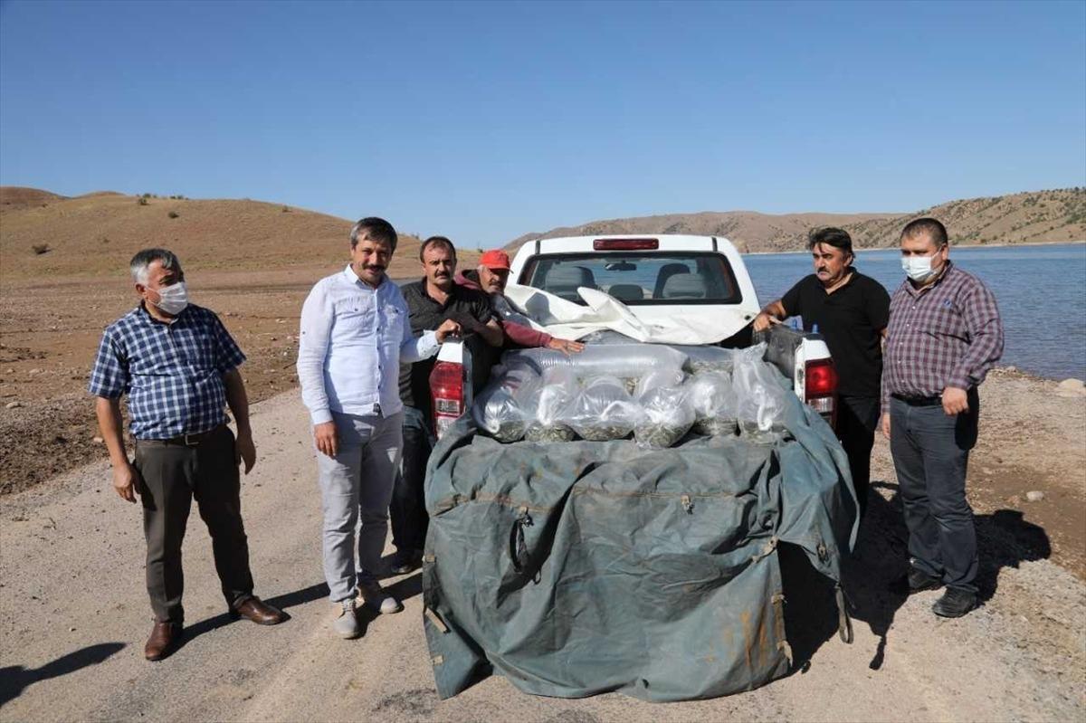 Kırıkkale'de baraj g&ouml;l&uuml;ne 100 bin pullu sazan yavrusu bırakıldı