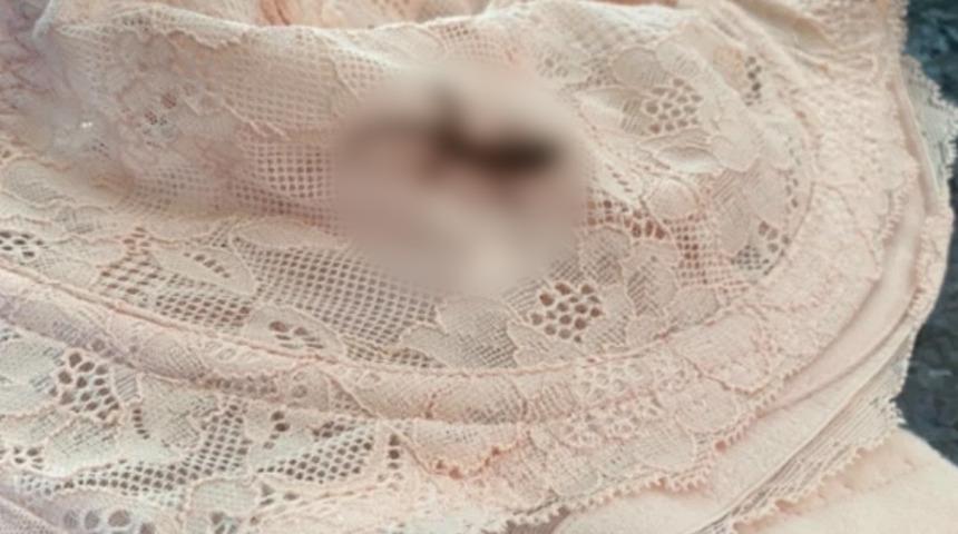 Bavulundan çıkan şey hayatının şokunu yaşattı: Hâlâ canlı!