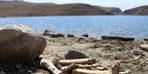 Scary image!  Legs washed ashore