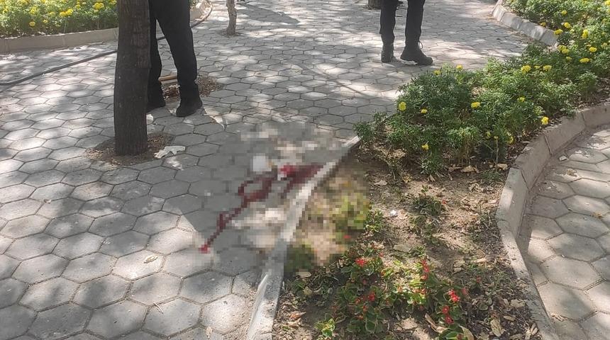 Ankara'da korkunç olay! Parkta başından vurup kaçtı