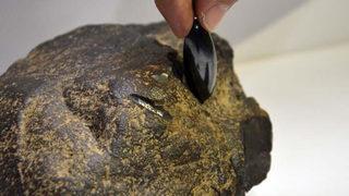 İki arkadaş gezerken buldu! Ne olduğunu öğrenince büyük şaşkınlık yaşadılar