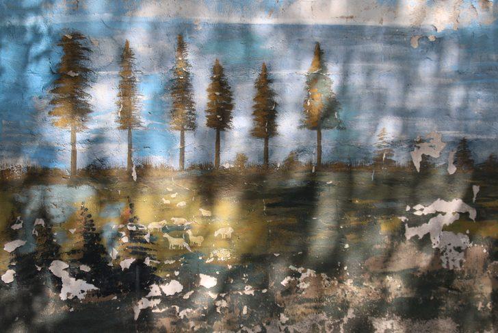 13  yaşındaki kız çocuğuna adi işkence! 41 yıl sonra gün yüzüne çıktı G4