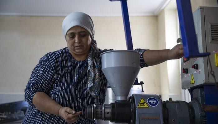 Evinin ahırını atölye yaptı! Ürettiği yağa Türkiye'nin her yerinden talep yağıyor