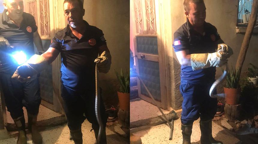Eve giren yılanı itfaiye ekipleri yakaladı