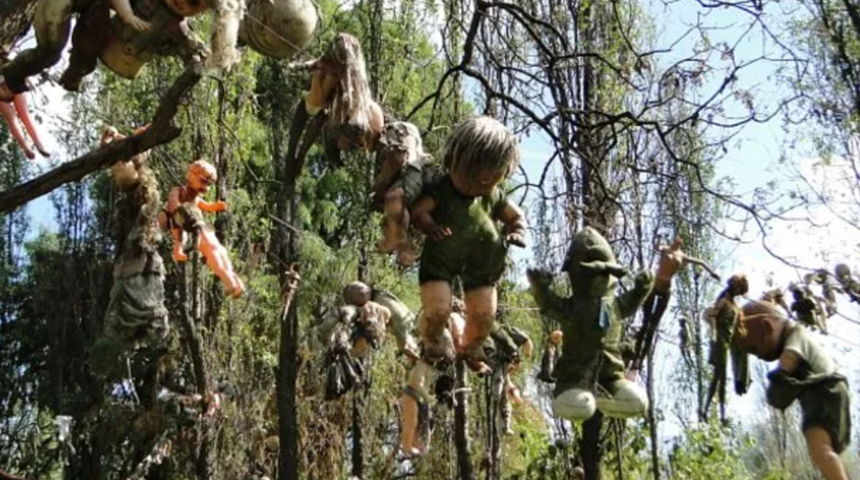 Dünyanın en korkunç adası! Meksika’nın Bebek Adası tüyler ürpertiyor