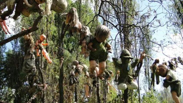 Dünyanın en korkunç adası! Meksika’nın Bebek Adası tüyler ürpertiyor