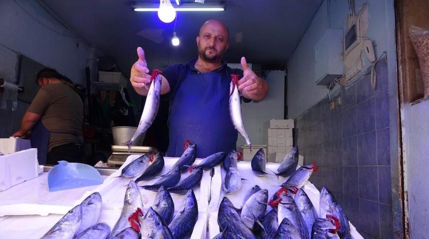 Tezgâhlarda ilk kez kendini gösterdi! Tanesi 25 lira