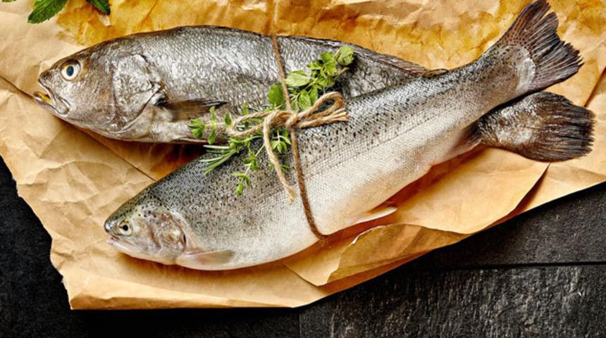 Balık bir&ccedil;ok hastalığı &ouml;nl&uuml;yor