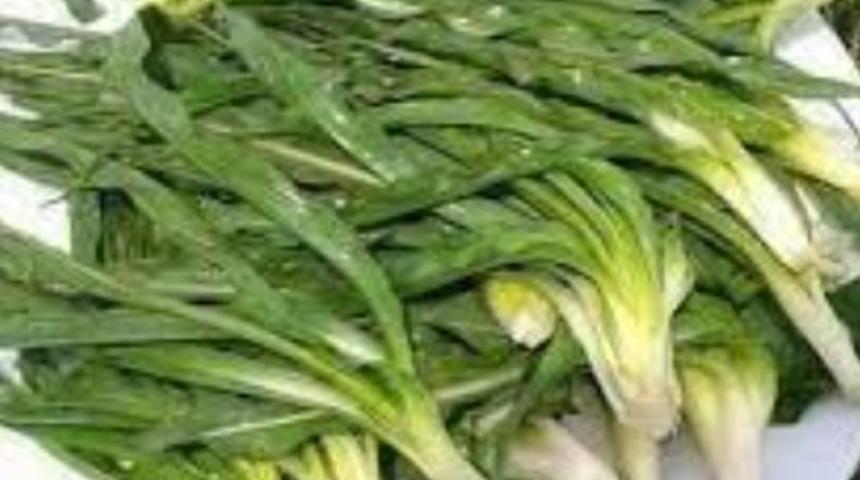 G&uuml;zelliğe 'yemlik' eli değince