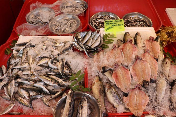 Av sezonunun açılmasıyla balıkçı tezgahları Bolu ve Karabük'te de şenlendi G1