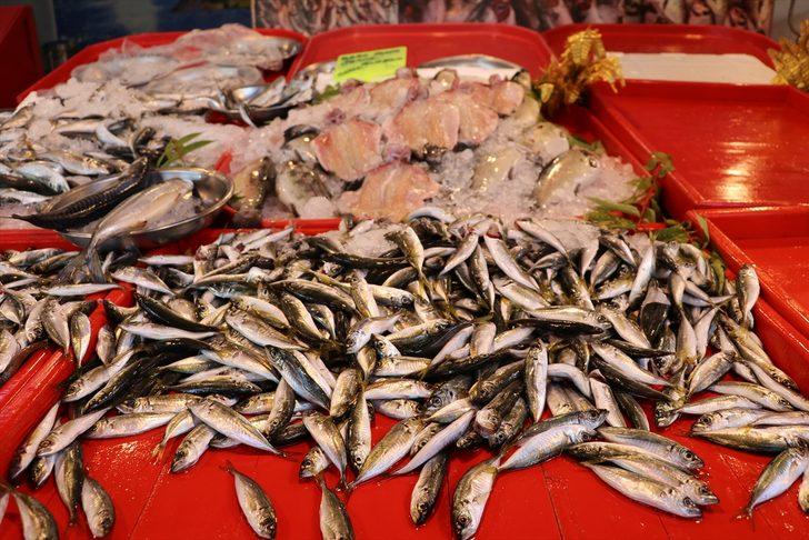 Av sezonunun açılmasıyla balıkçı tezgahları Bolu ve Karabük'te de şenlendi G5