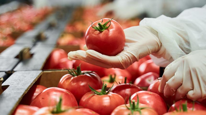 Koronavirüse karşı "yenilebilen" domates aşısı! İnsan deneylerine geçilecek