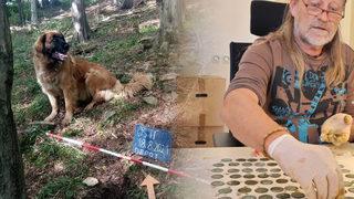 Sahibi tarafından gezmeye çıkarılan köpek hazine buldu