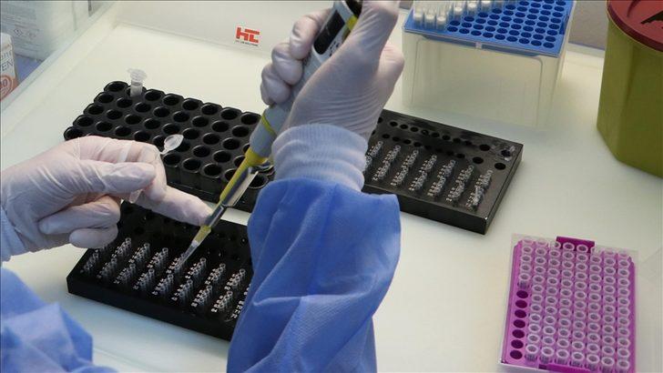 PCR testi sonucu ne zaman çıkar? Koronavirüs test sonuçları kaç saat sonra çıkar?  G5