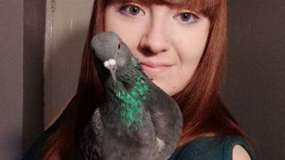 Güvercini için ayda 33 bin TL harcıyor! Özel yapım arabasıyla yürüyüşe çıkartıyor