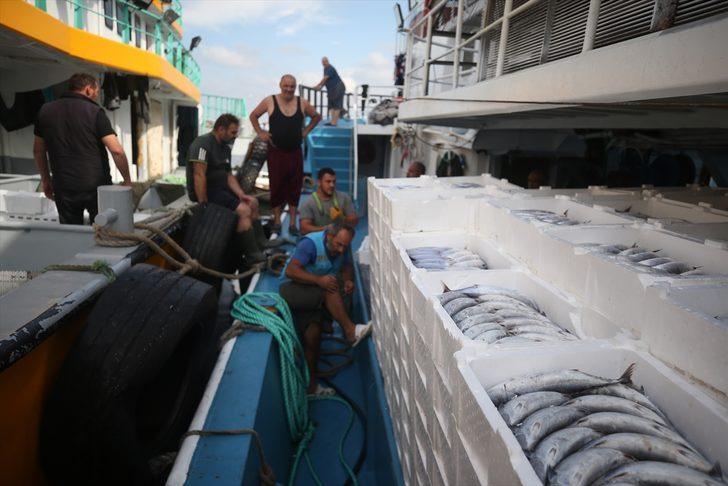 Düzce'de balıkçılar limana binlerce palamutla döndü G5