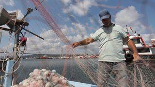 Balık avı sezonu 1 Eylül'de başlıyor    