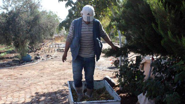 Ayaklarıyla ezerek yapıyorlar! Kilosu 45 lira