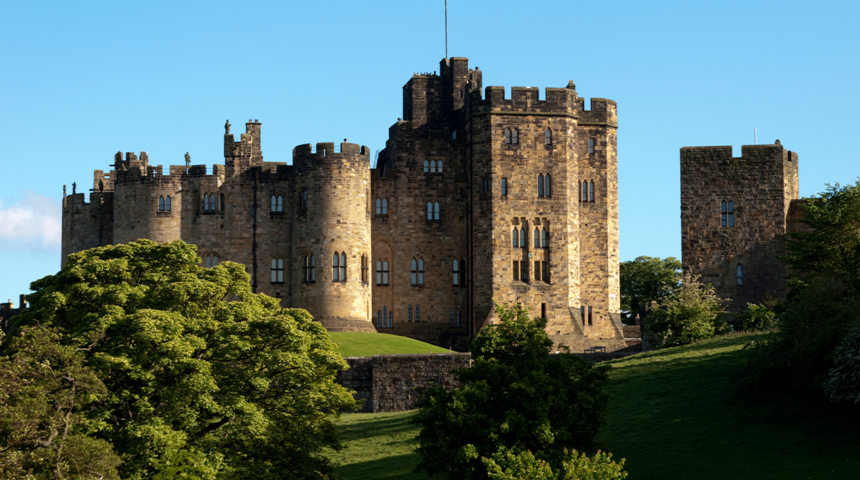 Dünyanın en tehlikeli bahçesi! İçerisinde zehirli bitkileri barındıran Alnwick Bahçesi, merak uyandırıyor