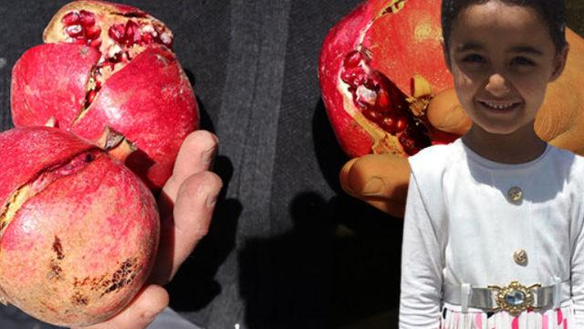 4 yaşındaki Saliha'nın ölümüne neden olmuştu! Dikkat çeken açıklama: Meyveleri sabunla  yıkayın