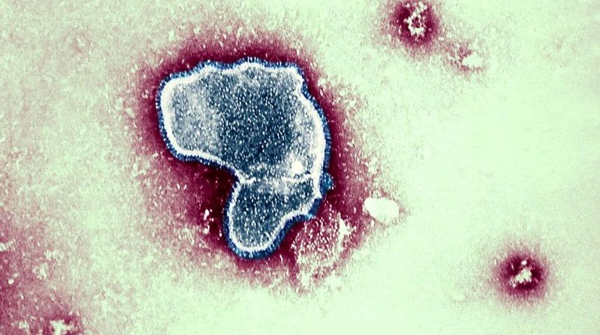 Bahar aylarında virüslere dikkat