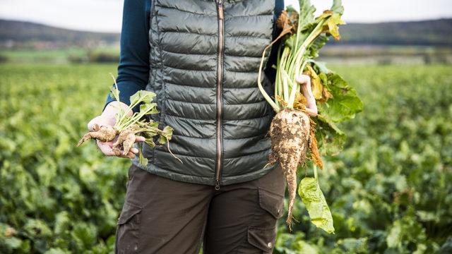 Son Dakika: 2021 Şeker pancarı alım fiyatı ton başına 420 lira oldu