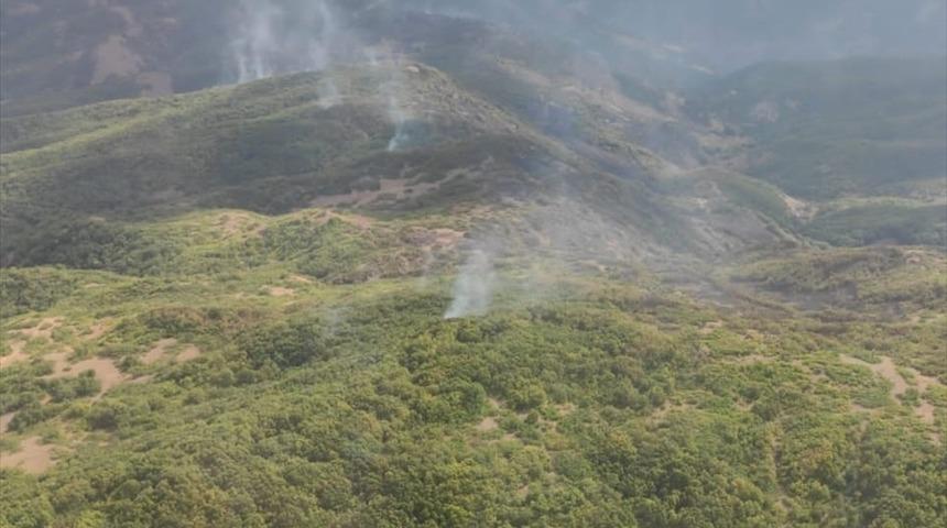 Tunceli'nin Ovacık ilçesindeki örtü yangını kontrol altına alındı