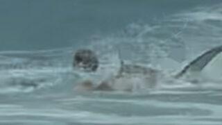 Arkasından sinsice yaklaştı! ABD'de sörf yapan gencin kolunu köpek balığı ısırdı