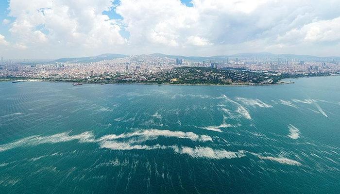 Marmara Denizi'nde yeni tehlike! Müsilajdan sonra şimdi de oksijen azlığı