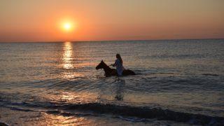 Tatilcilerin yeni gözdesi gün doğumunda at turu! 3 saatine 45 dolar ödüyorlar