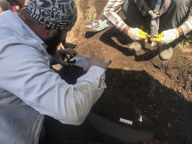 Kahramanmaraş'ta heyecanlandıran keşif! Tarlasını mısır ekmek için sürdü, fil fosili buldu G5