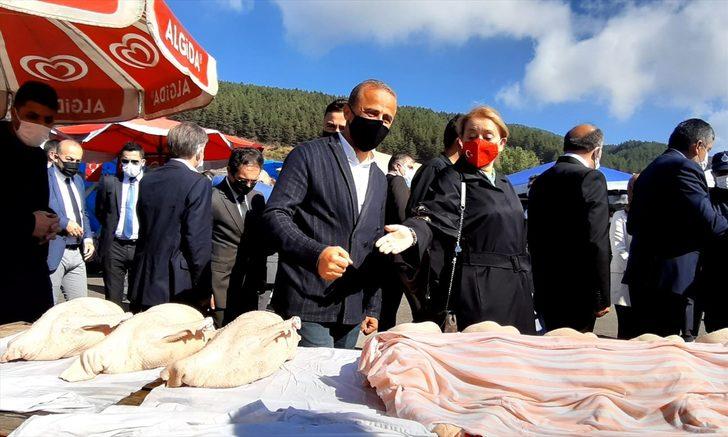 Geleneksel Gerede Hayvan ve Emtia Panayırı başladı G1