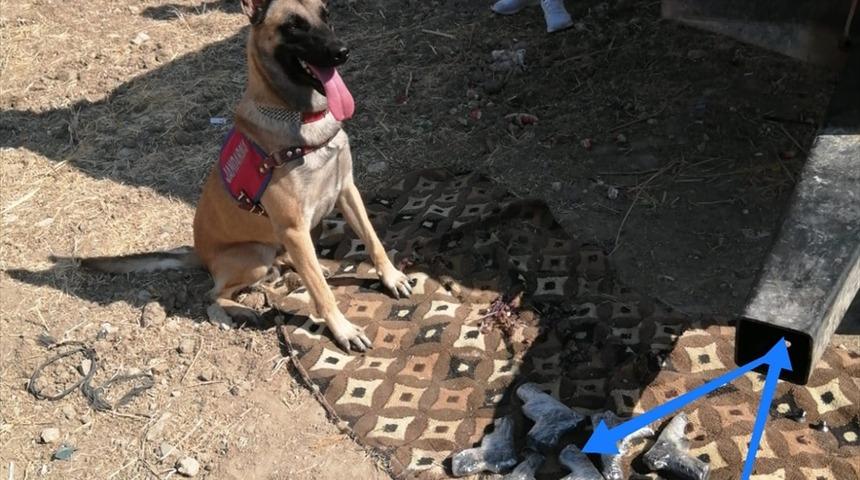 GÜNCELLEME - Hatay'da traktör römorkuna gizlenmiş 7 tabanca ele geçirildi